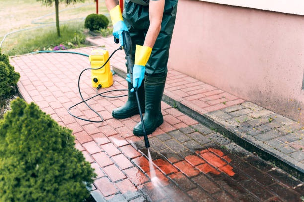 Best Fence Pressure Washing  in Lyford, TX
