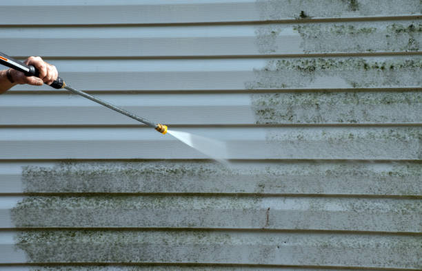 Best Residential Pressure Washing Services  in Lyford, TX