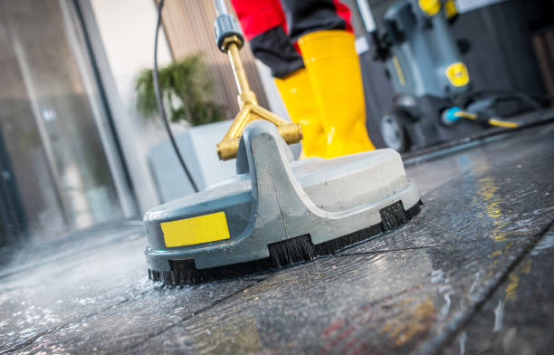 Best Power Washing Near Me  in Lyford, TX