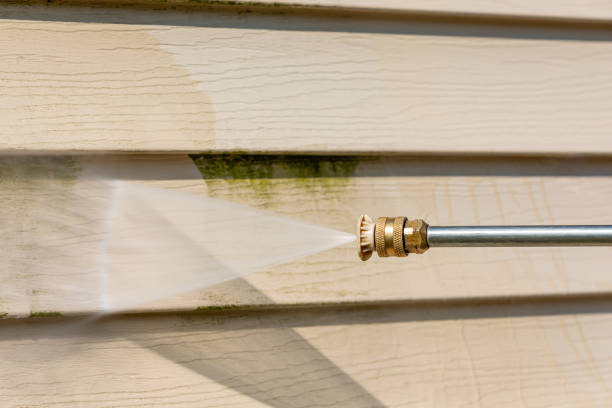 Best Roof Power Washing Services  in Lyford, TX